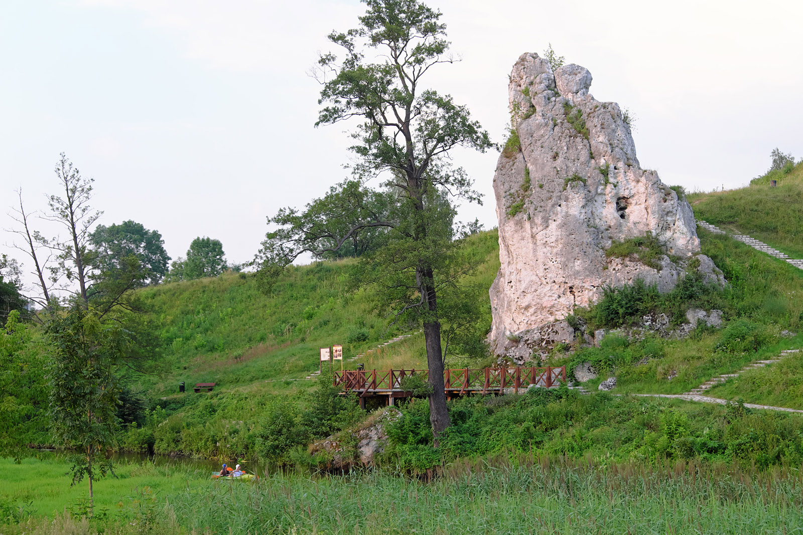 Jura bez plastiku. Co się dzieje, gdy mieszkańcy biorą sprawy w swoje ręce?
