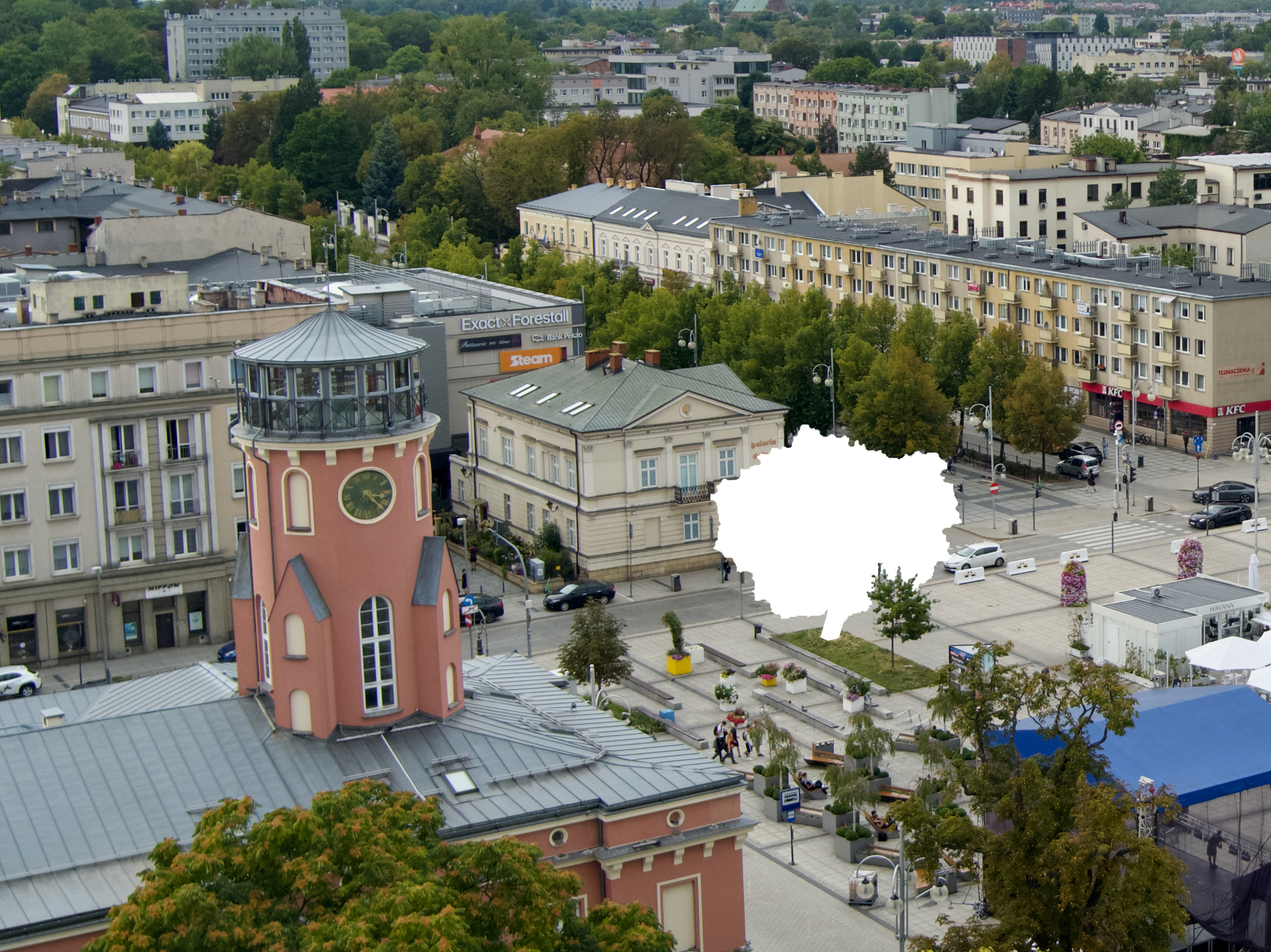 “Częstochowska złośliwość rzeczy żywych…”, czyli kolejne drzewa pod topór